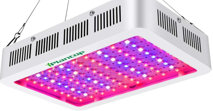 1000w LED Grow Light with Bloom