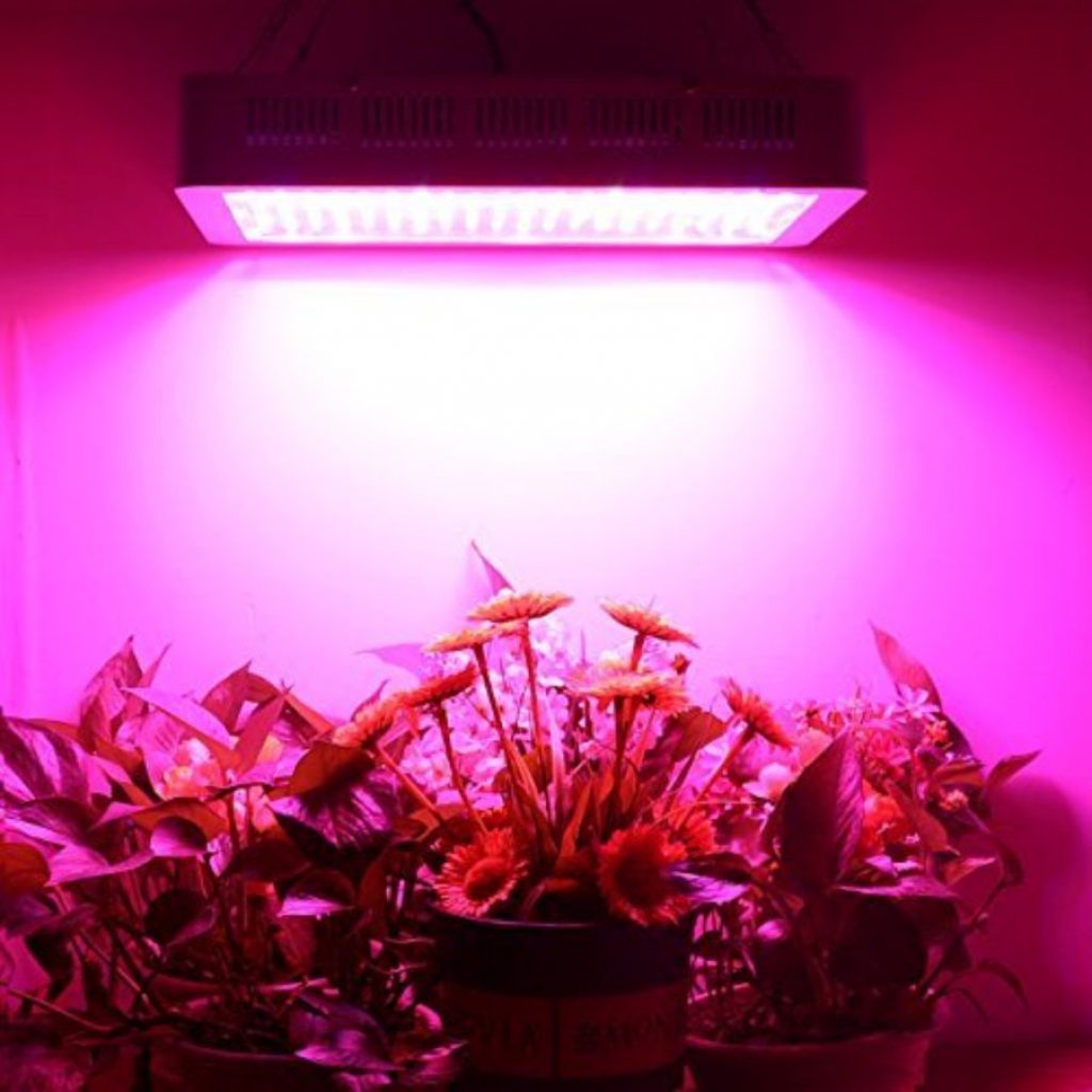 Higrow 2000 grow light - photo 1