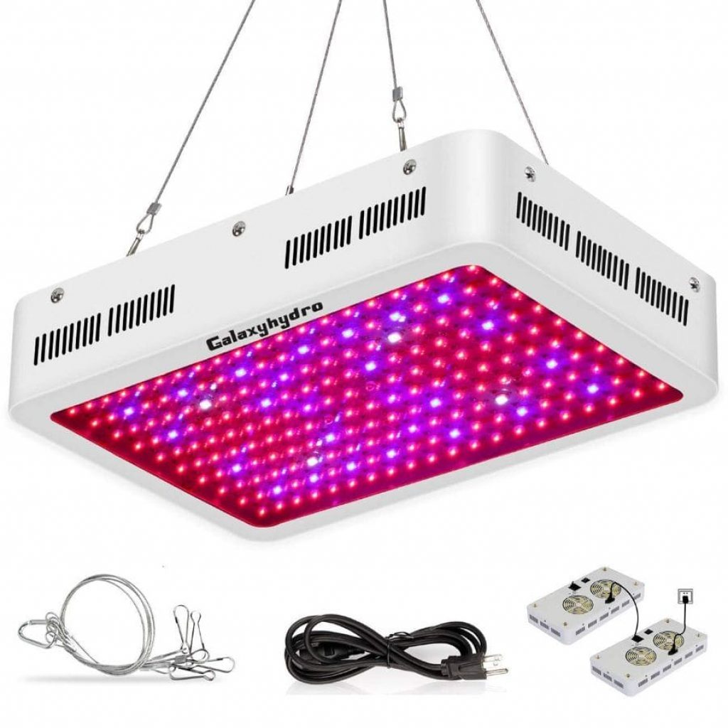 Best 2000 Watt LED Grow Light for Growing Cannabis in 2021