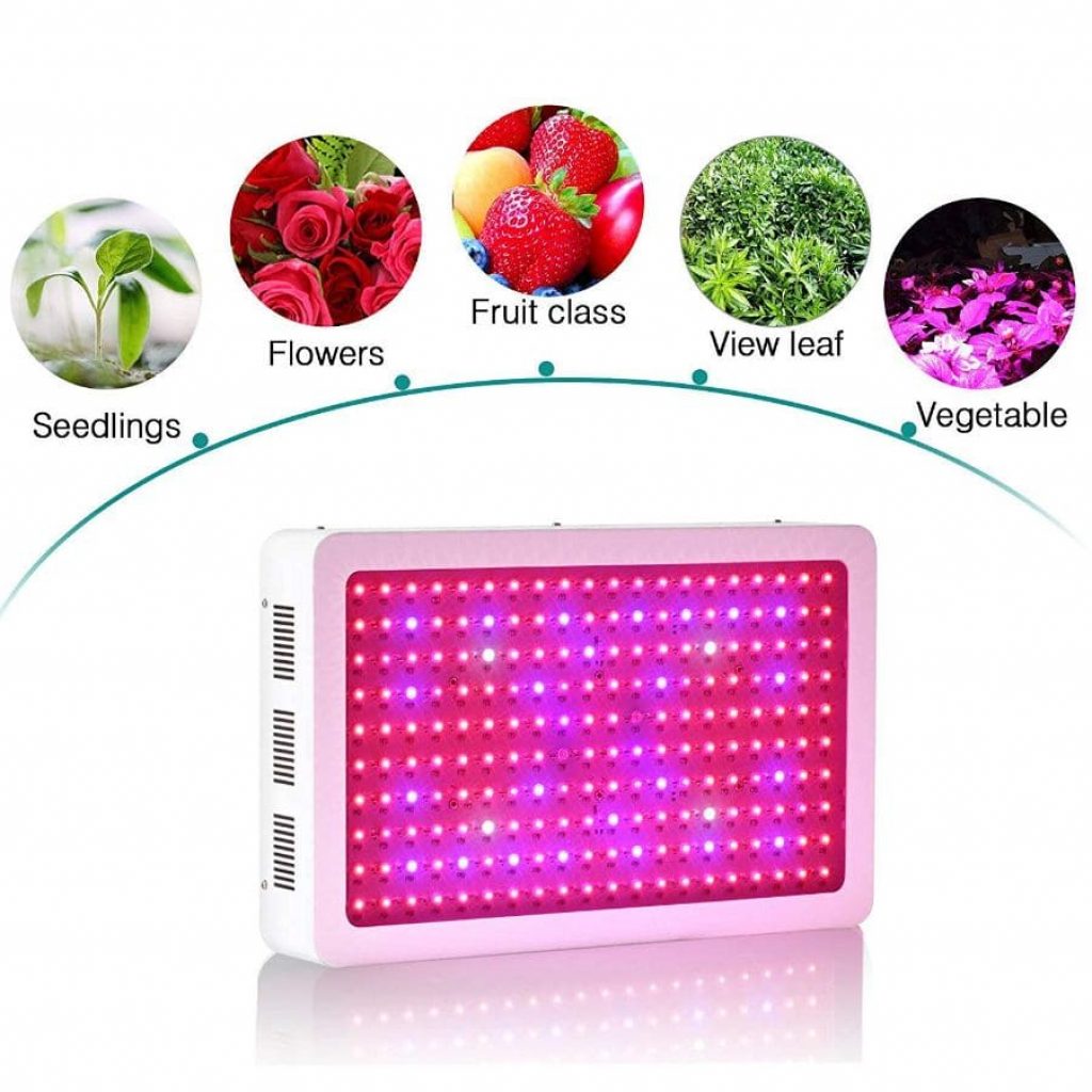 Roleadro 2000 led grow light - photo 2