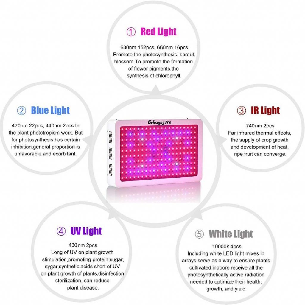 Roleadro 2000 led grow light - photo 4