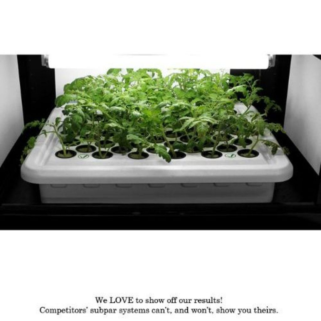 Supercloset box led grow light - photo 1