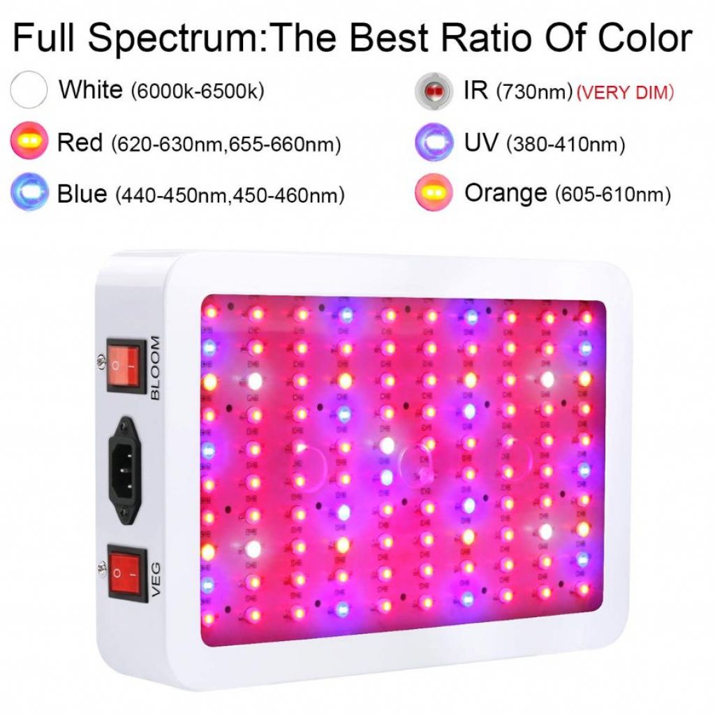 King plus 1000 LED LIght - photo 1