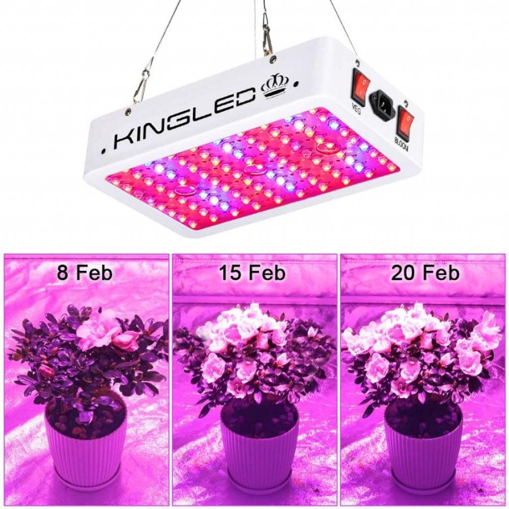 King Plus 1000 LED Grow light - photo 3