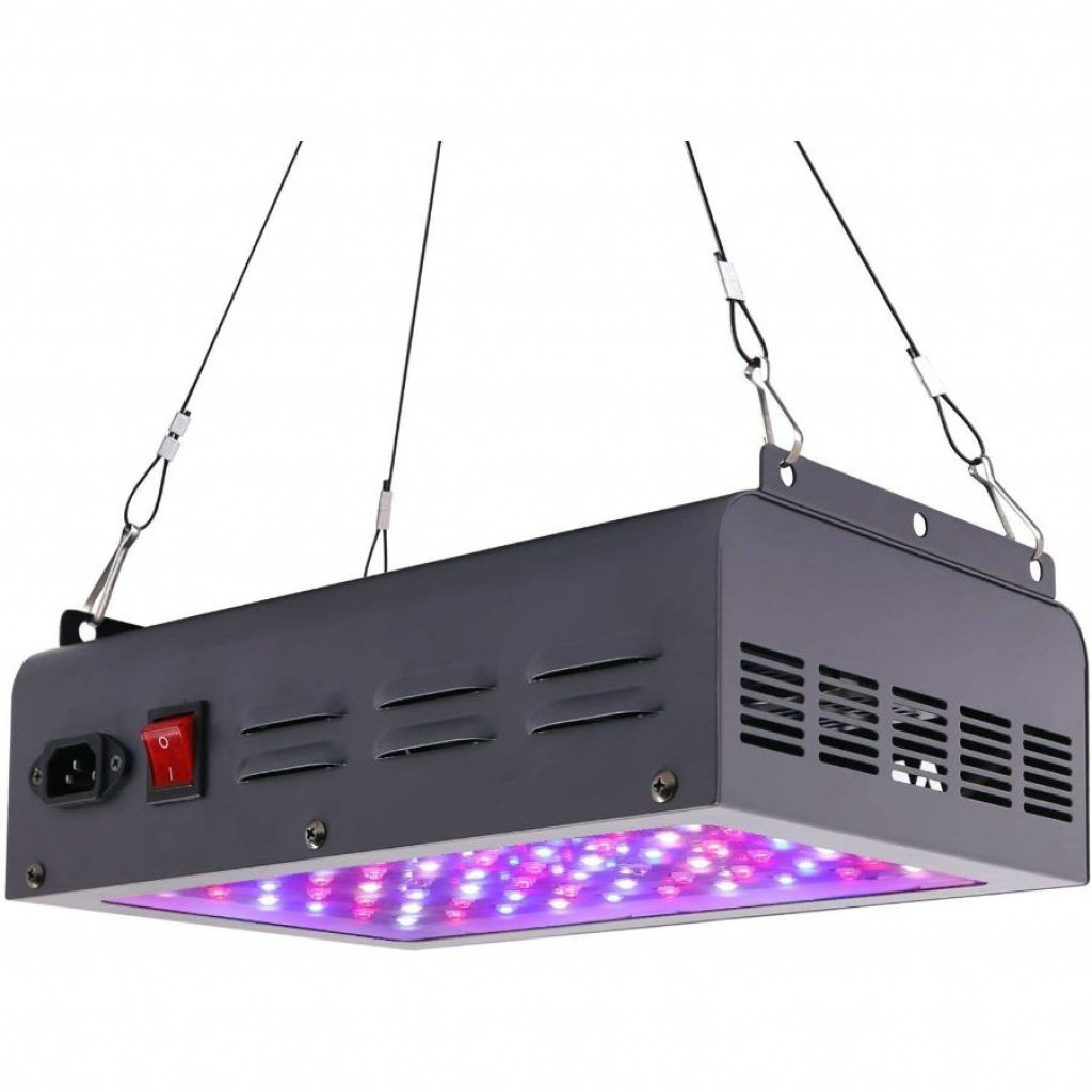 Best 600 Watt LED Grow Light for Growing Cannabis A Lights Shootout