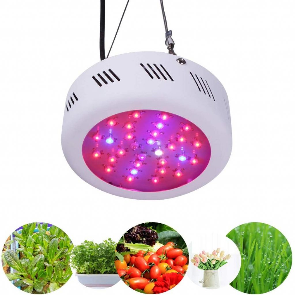 Roledro led grow light - photo 4