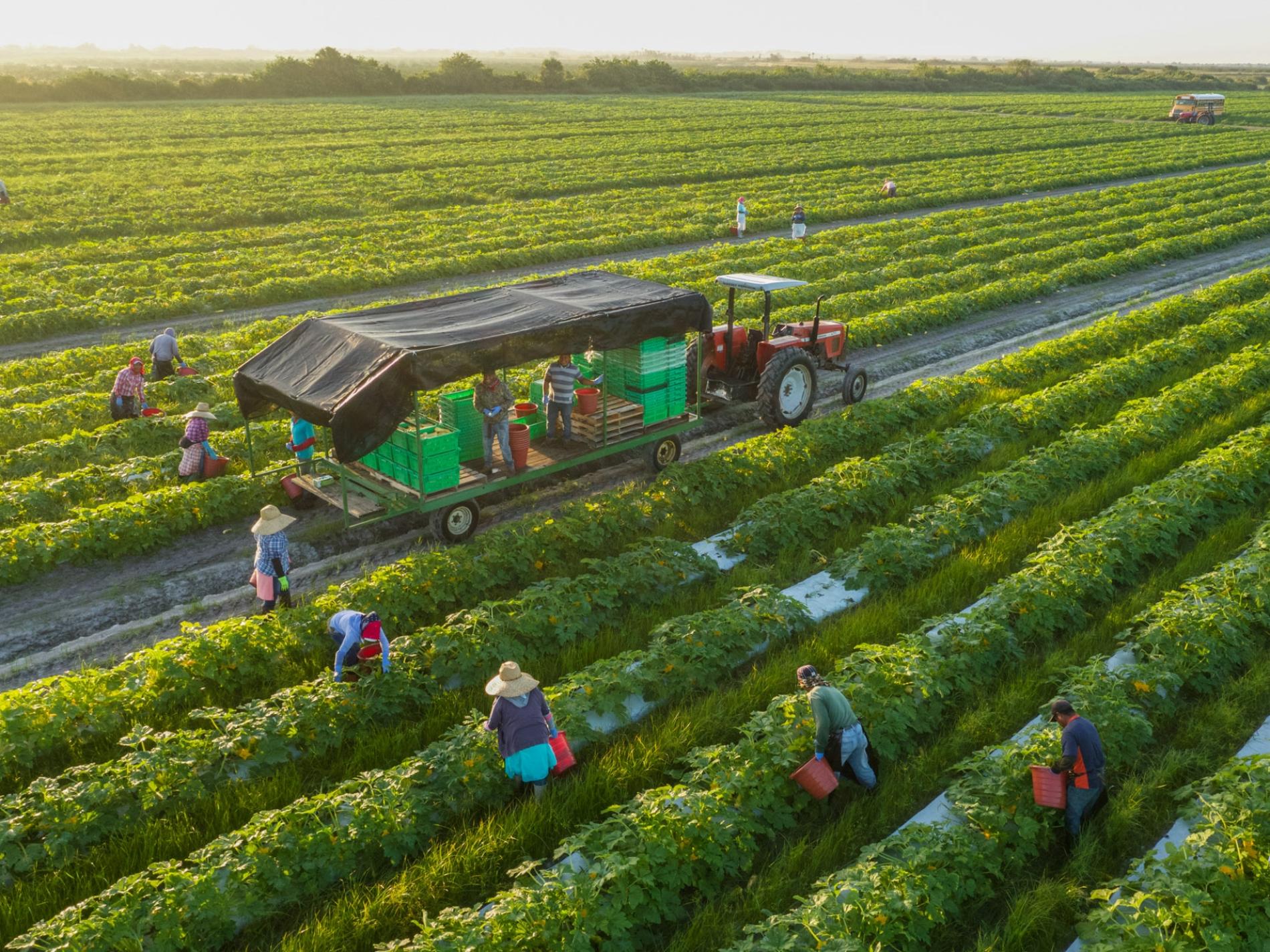 research on organic farming