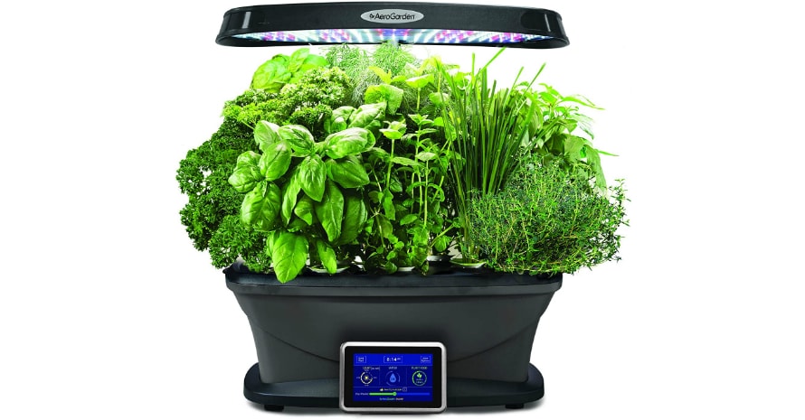 AeroGarden Black Bounty garden