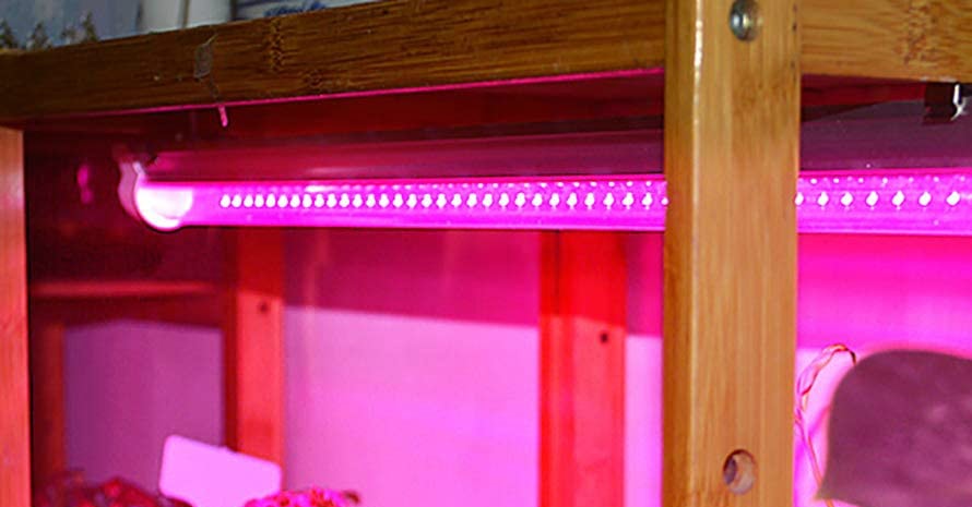 Barrina LED Grow Light 252Watt