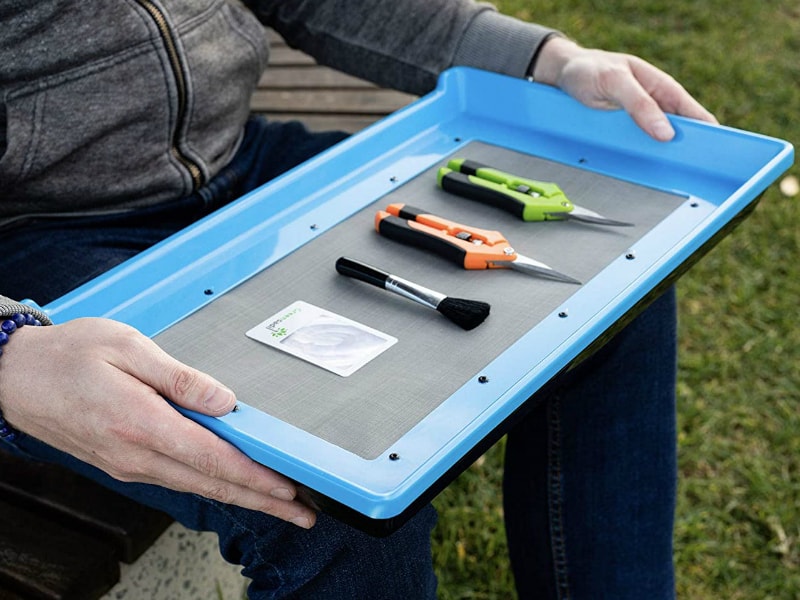 Trimming Tray