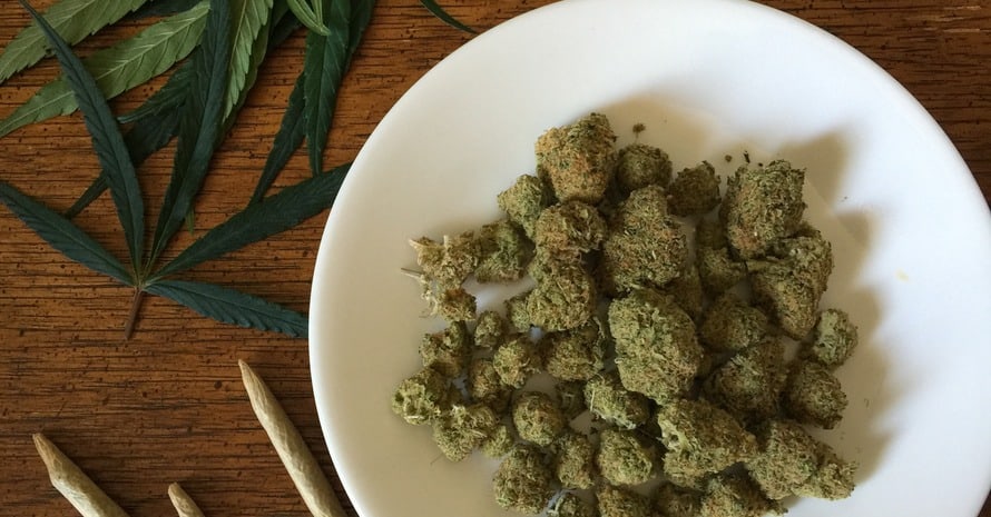 Cannabis In A Plate