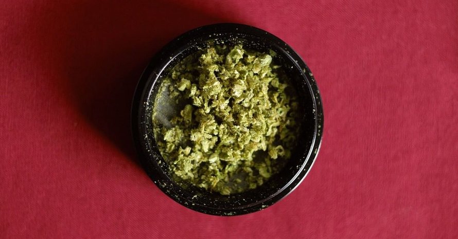 Grinded Cannabis In Grinder