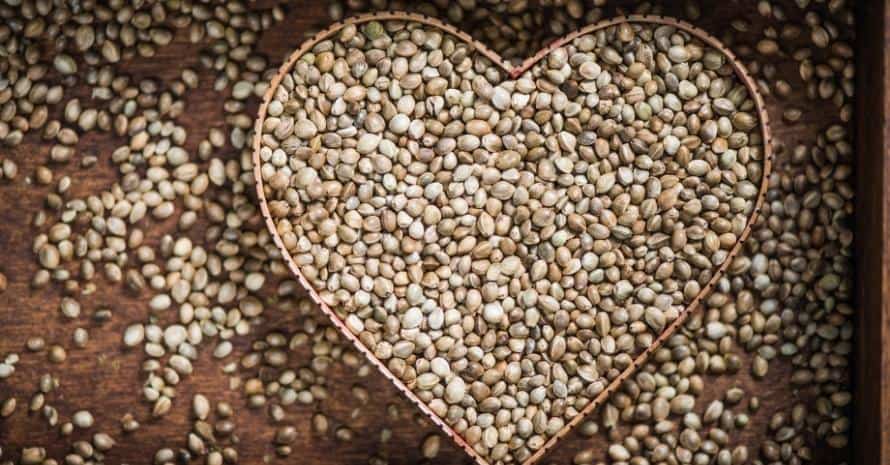 Hemp marijuana seeds heart form