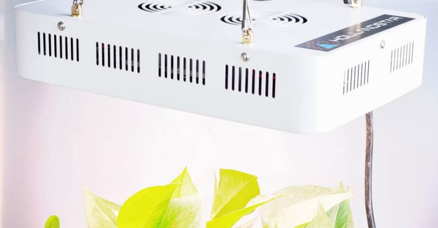 HollandStar Full Spectrum LED Grow Light