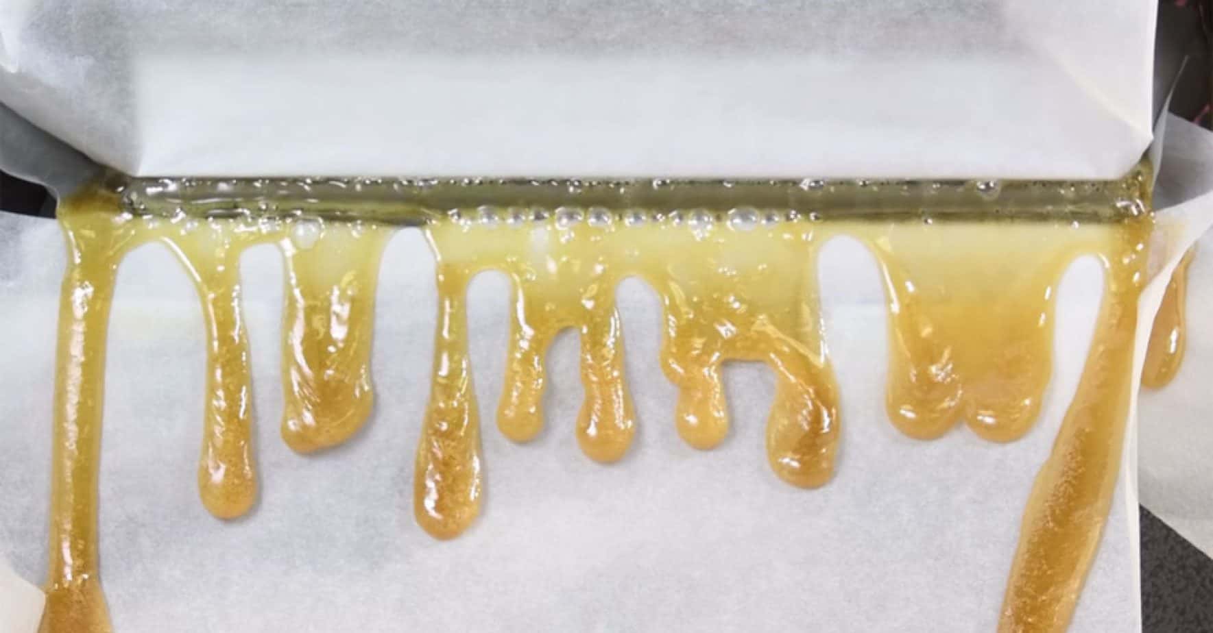 What Temp to Press Rosin At? A Rosin Press Tutorial