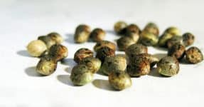 Weed Seeds On White Background