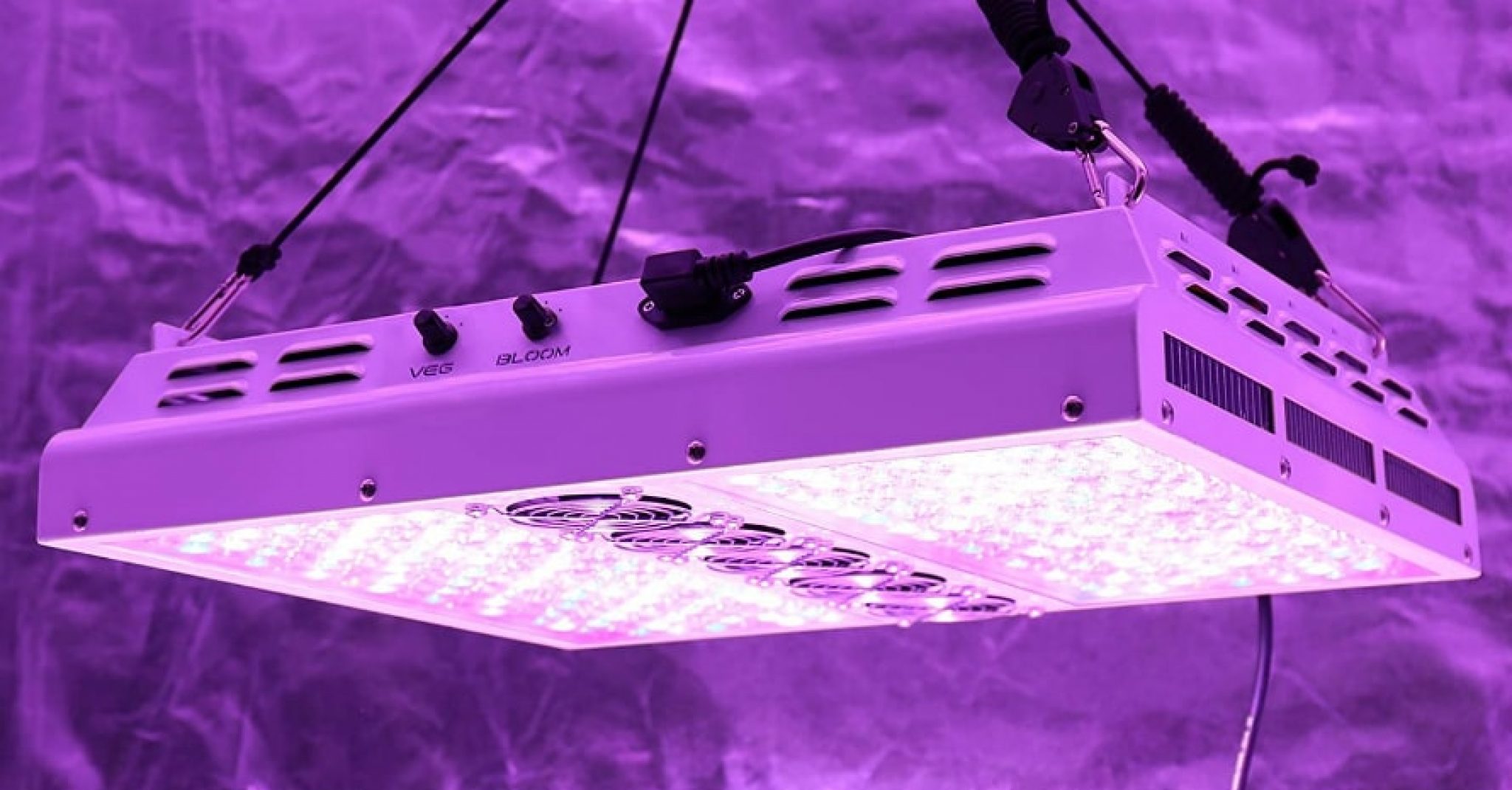 Best Led Light for 4x4 Grow Tent Complete Buyer’s Guide