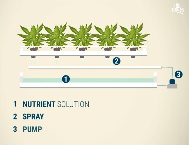 Advantages Of Using Aeroponics For Cannabis Growing