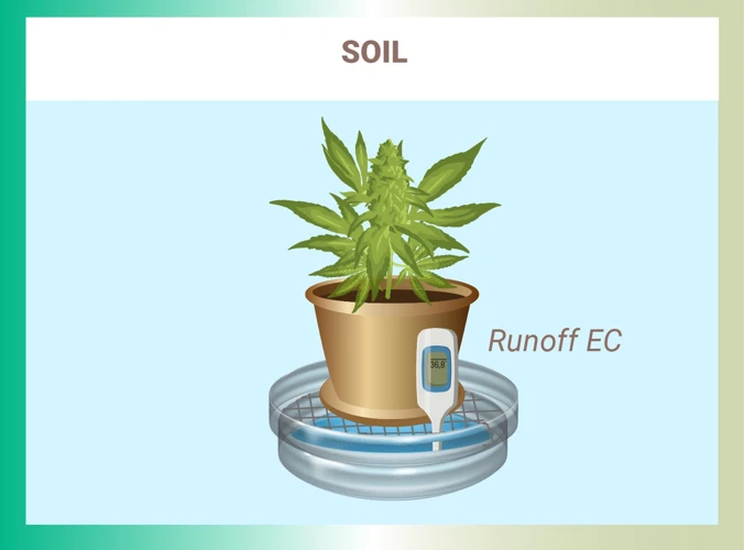 Assessing Soil Nutrient Levels