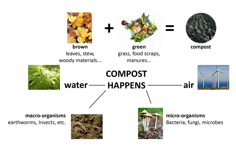 Assessing Your Composting Practices