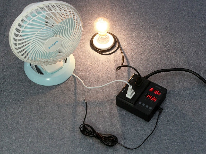 bayite Temperature Controller 1650W BTC211