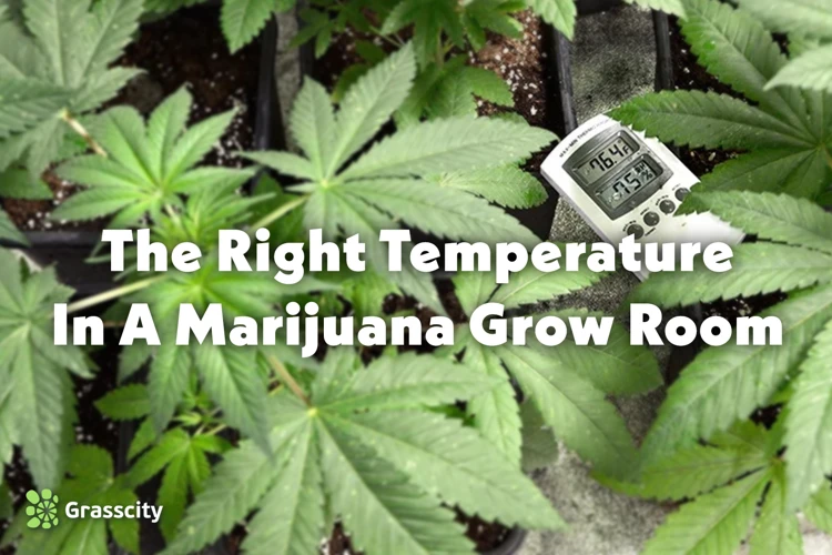 Best Practices For Temperature Control In Your Cannabis Grow Room