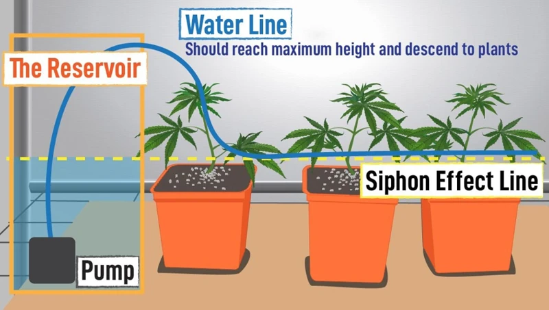 Choosing The Right Drip Irrigation System