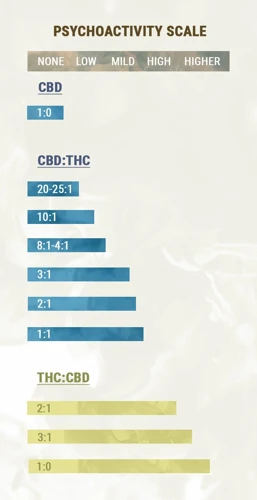Choosing The Right Thc To Cbd Ratio And Dosage