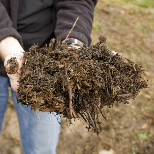 Common Composting Problems