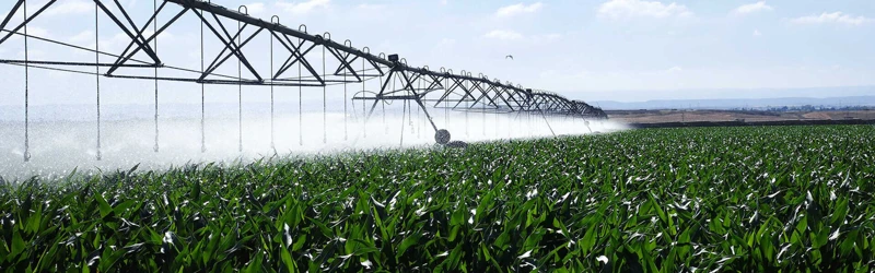 Cons Of Automated Irrigation Systems
