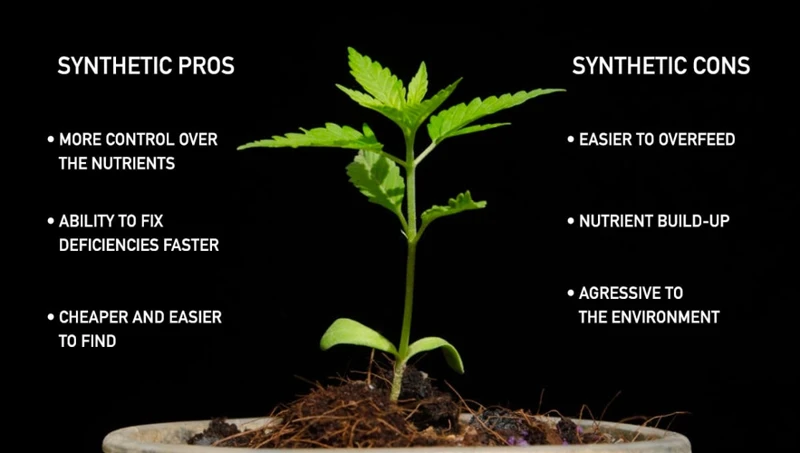 Drawbacks Of Synthetic Fertilizers For Cannabis Plants