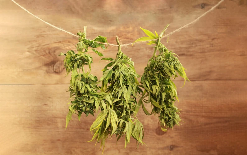 Drying Your Buds