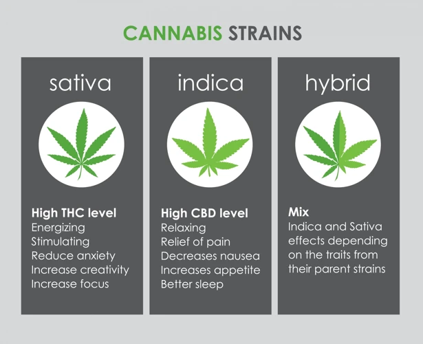Effects Of Mixing Indica And Sativa Strains