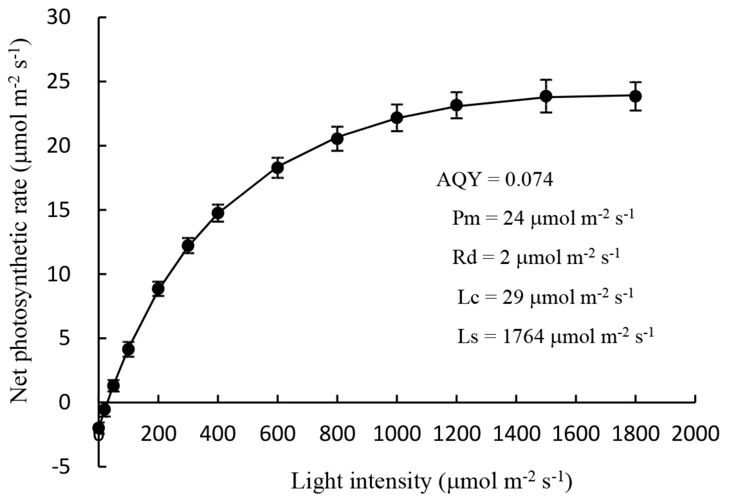 Factors That Affect Light Intensity And Duration