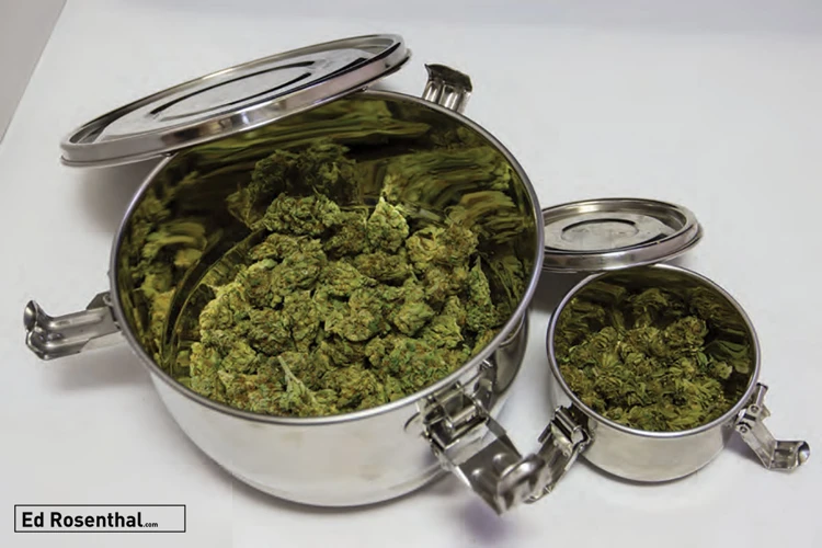 Factors To Consider When Choosing A Cannabis Storage Container
