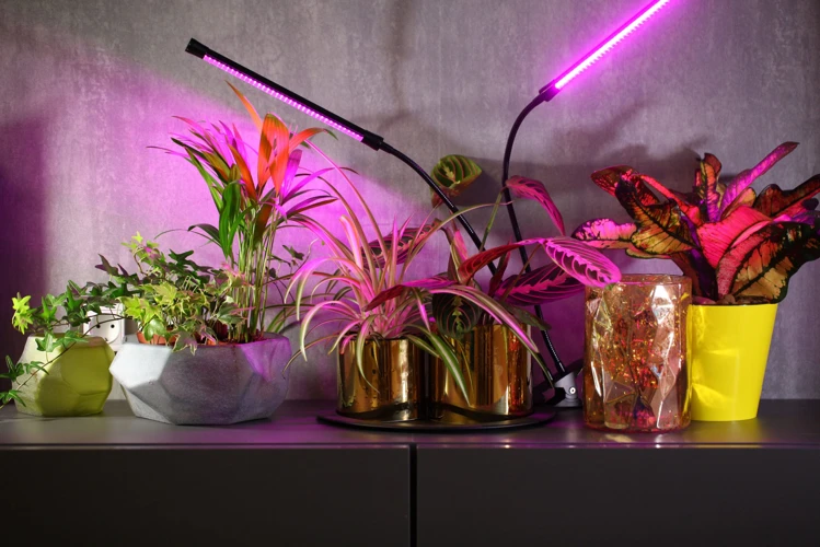 Factors To Consider When Choosing Grow Lights For Temperature Control