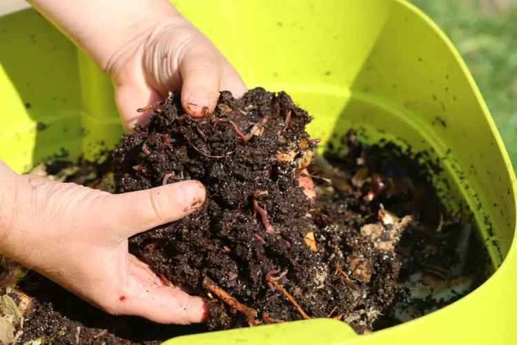 Getting Started With Vermicomposting