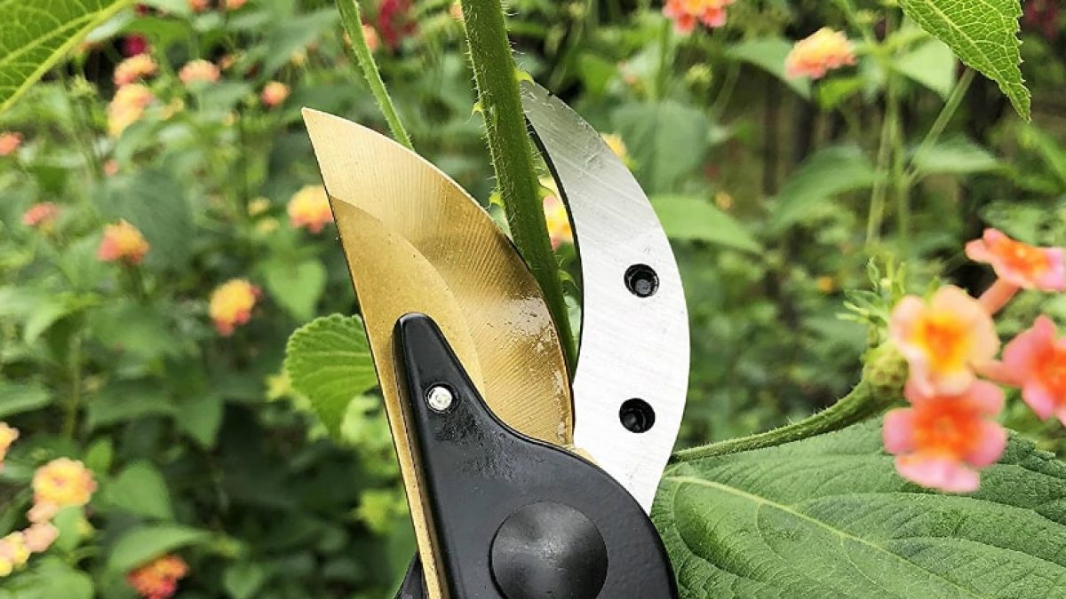 2 Pack PRO 420 Spring Loaded Scissors Pruning-bonsai-garden  Clippers-professional Harvest Scissors 