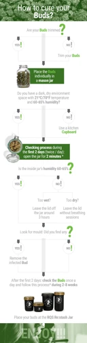 How Long Does It Take To Dry Cannabis Buds?