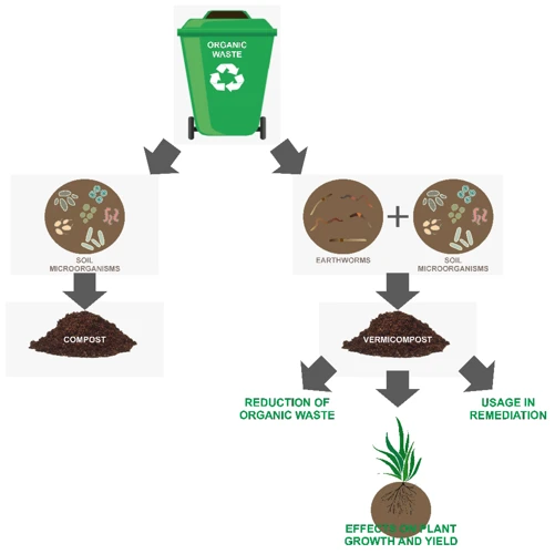 How To Build A Vermicomposting System