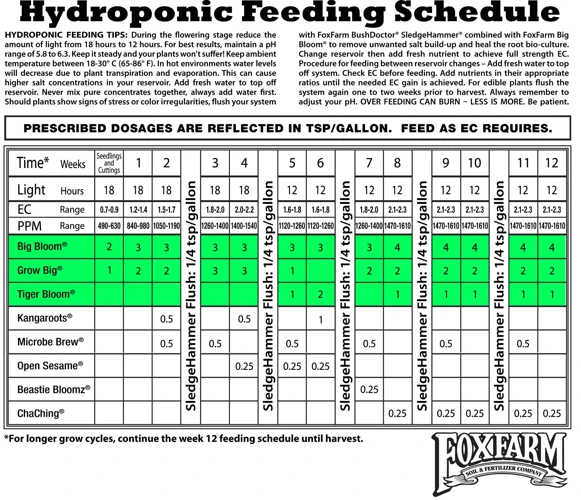 How To Create A Fertilizer Schedule For Cannabis Plants