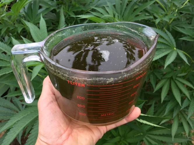 How To Make Compost Tea At Home For Cannabis Plants?