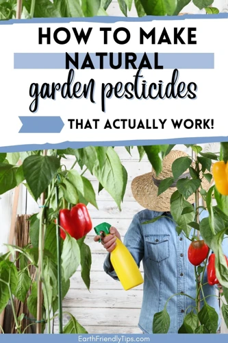 How To Make Organic Pesticides
