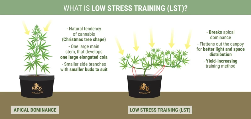 How To Perform Lst Methods