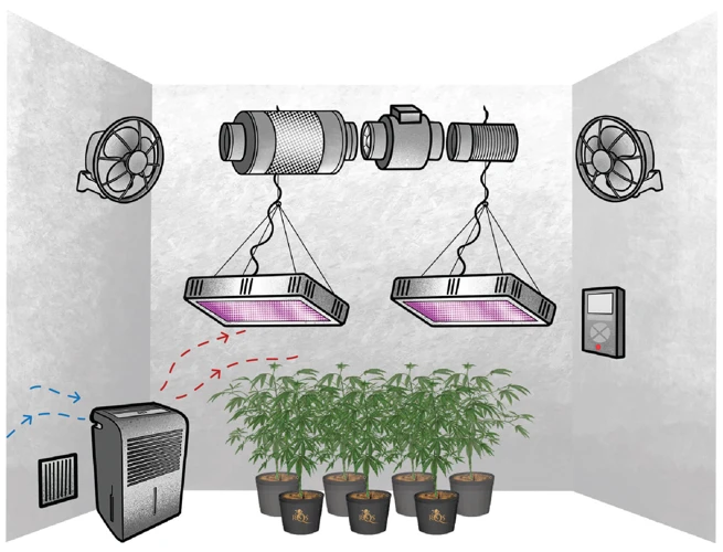 How To Use A Dehumidifier Effectively In Your Cannabis Grow Room