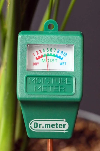 How To Use A Moisture Meter For Cannabis Plants