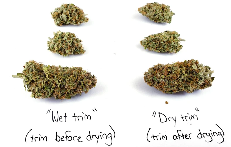 How To Wet Trim