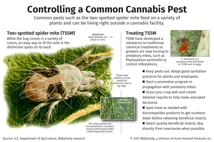 Identifying Pests