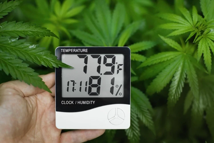 Importance Of Monitoring Temperature And Humidity In Your Grow Room