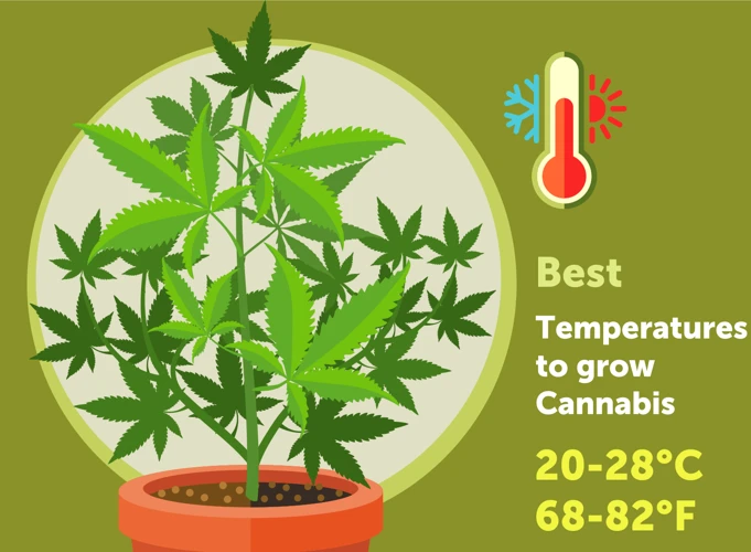 Optimal Temperature For Cannabis Grow Rooms